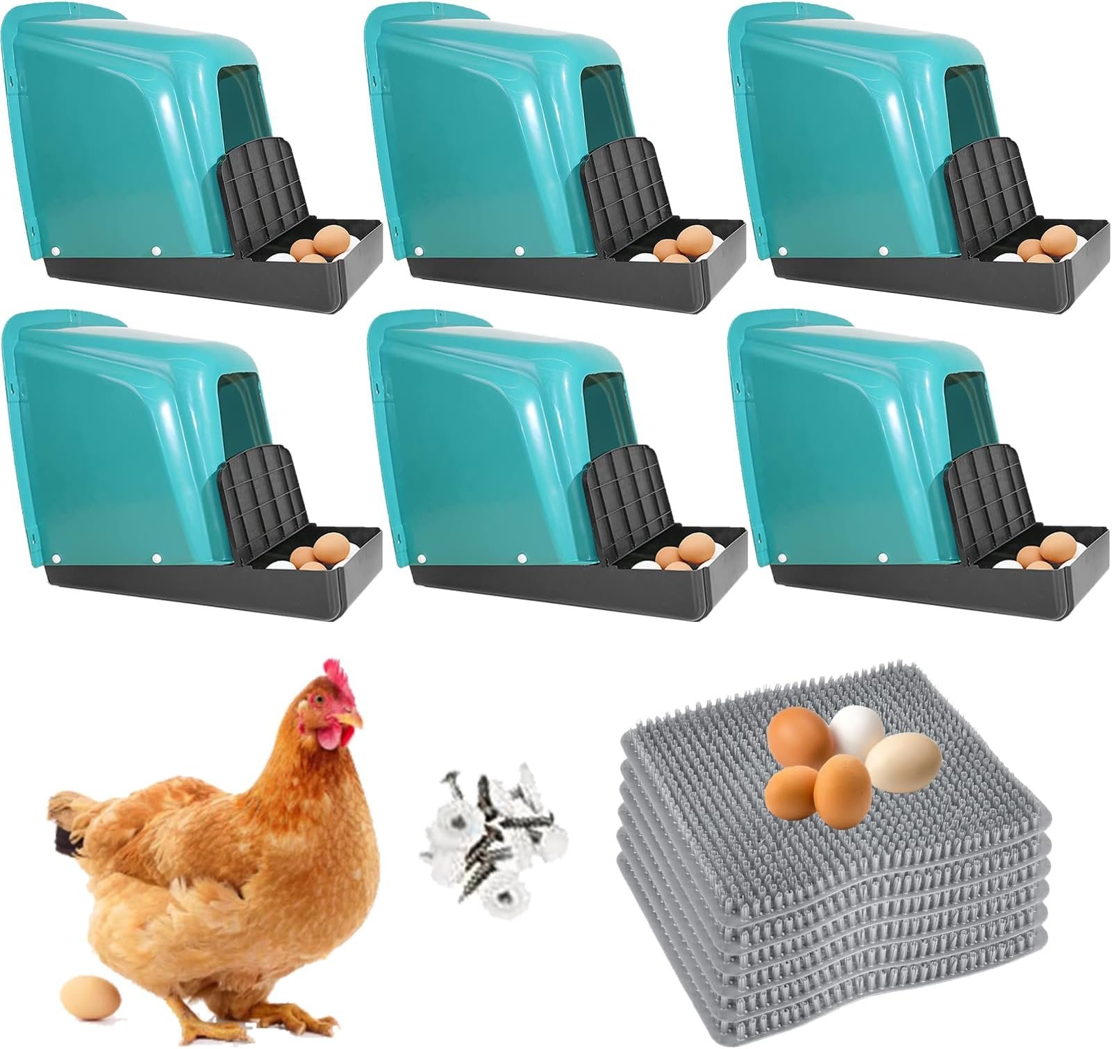 kỹ thuật nuôi gà nòi đá,1. Chọn giống gà nòi đá